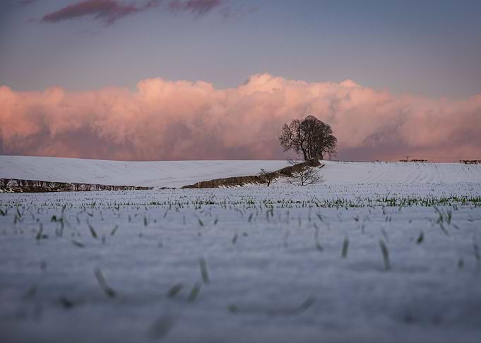 Pink Snow Sunset