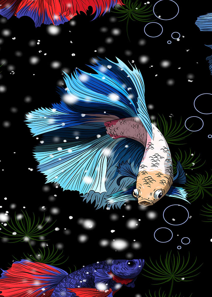 Fish