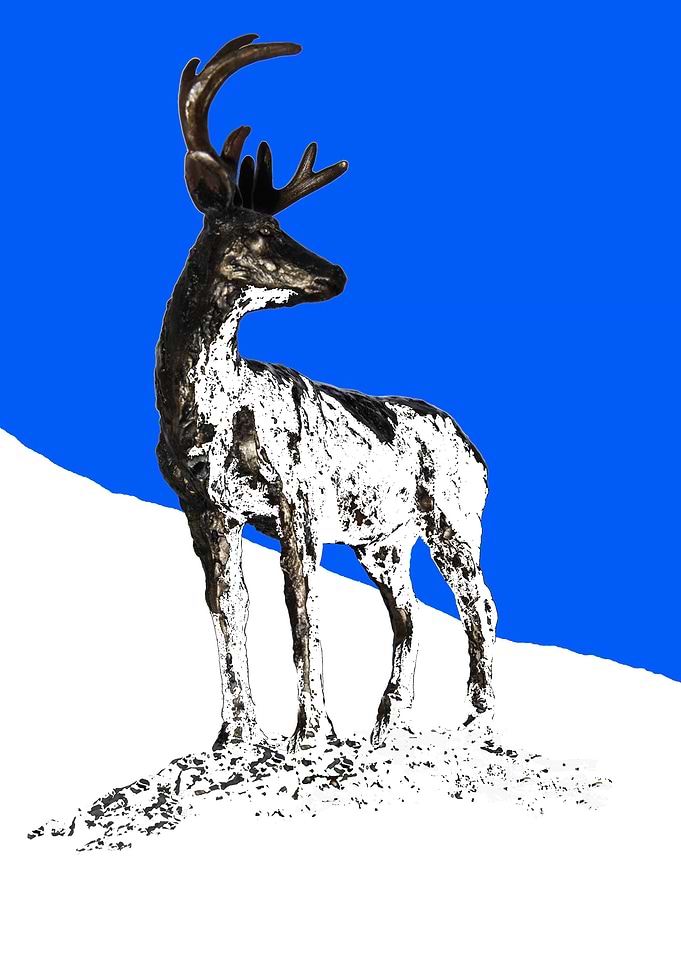 Stag in Winter Snow