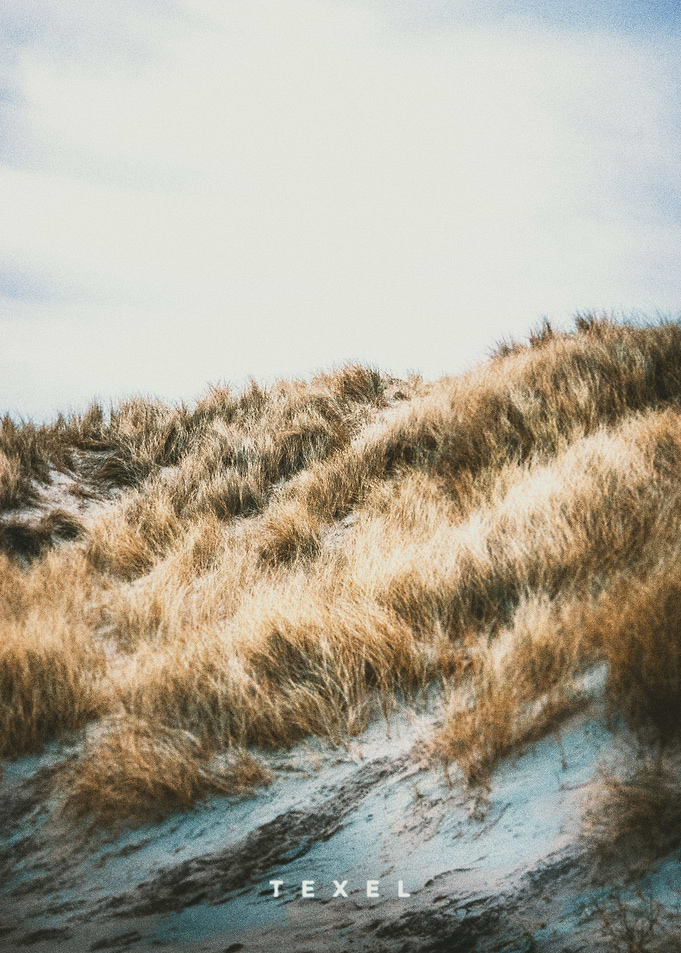 Texel