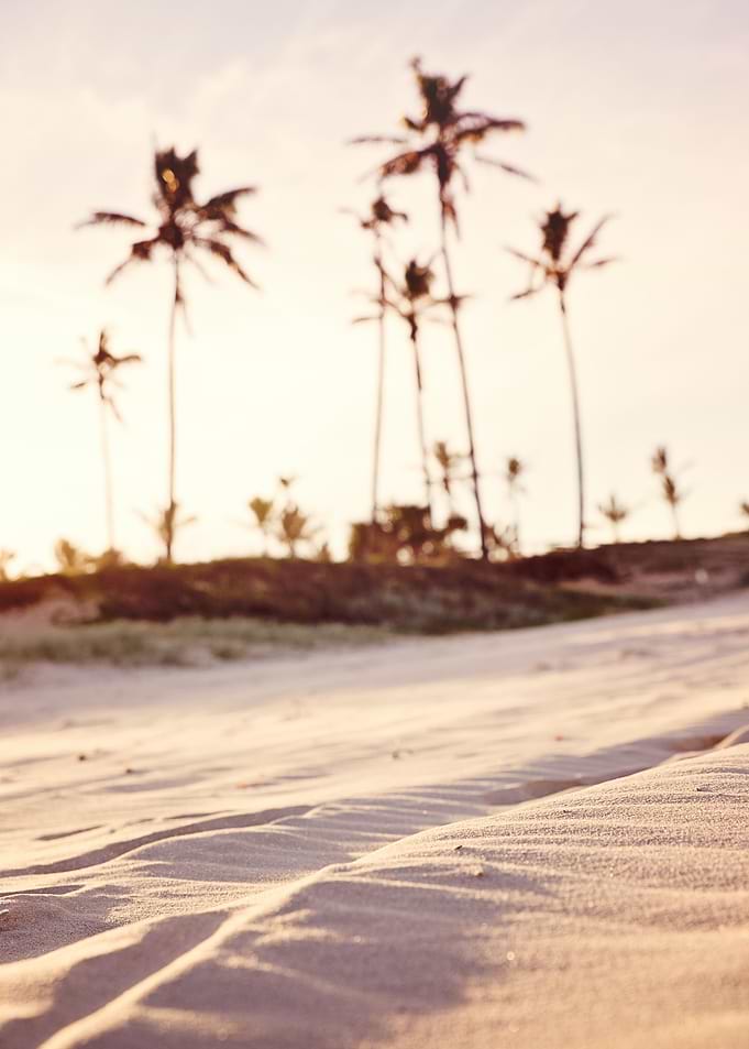 Beach Sunset