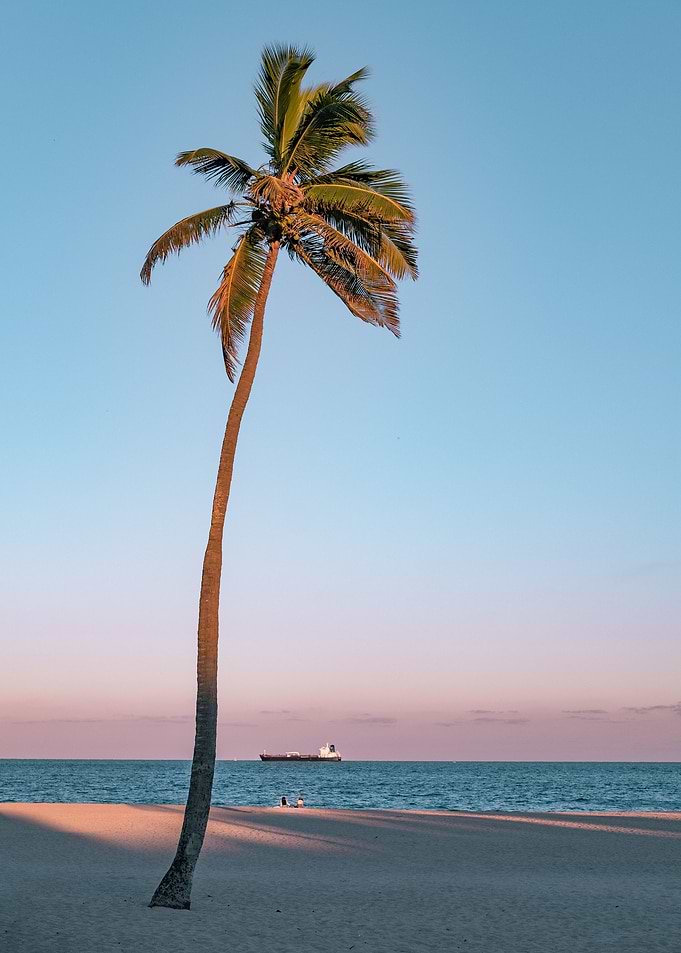 Palm Beach