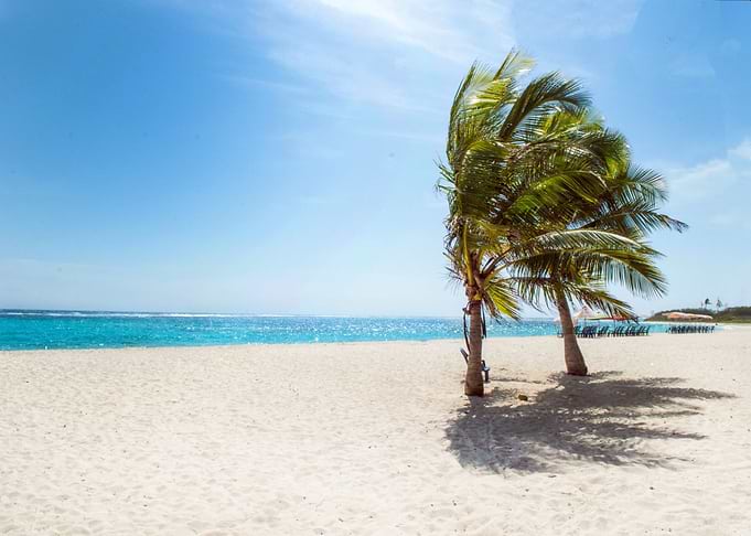 Beach View