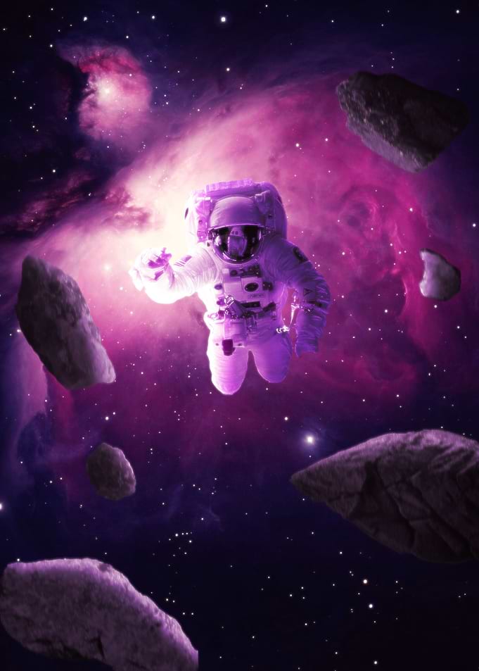PURPLE FLIGHT