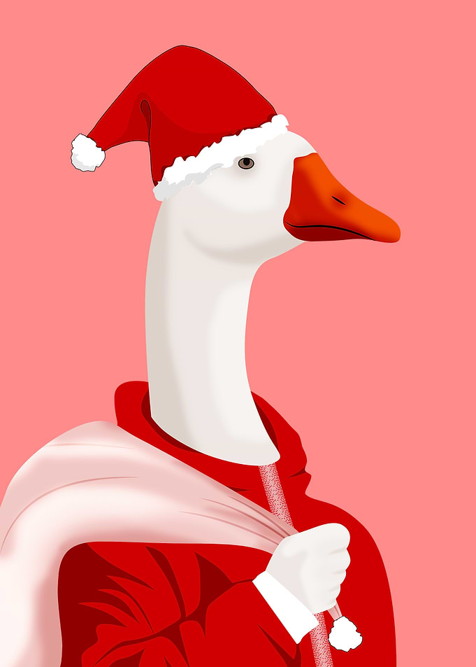 san duck clauss