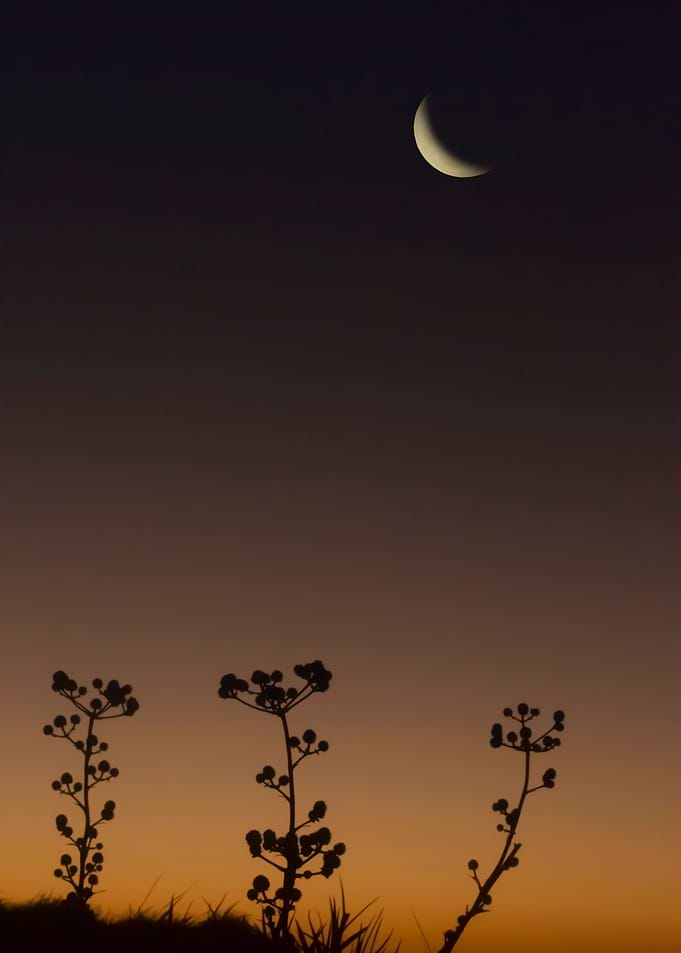 Pichilemu moon