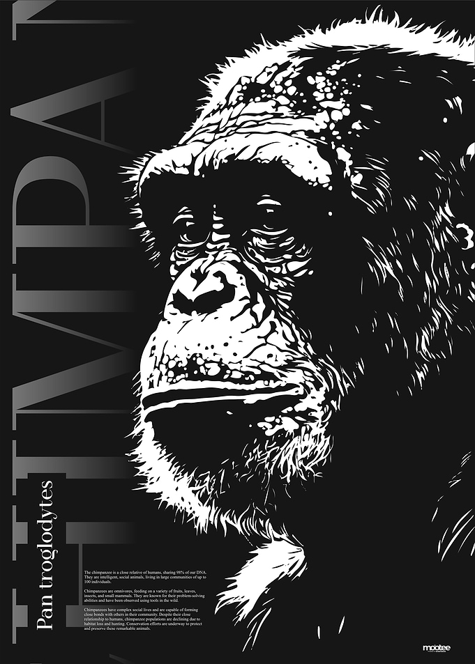 My name in Chimpanzee