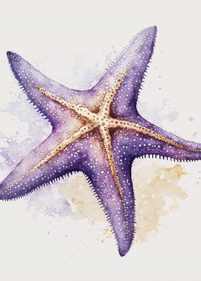 watercolour starfish
