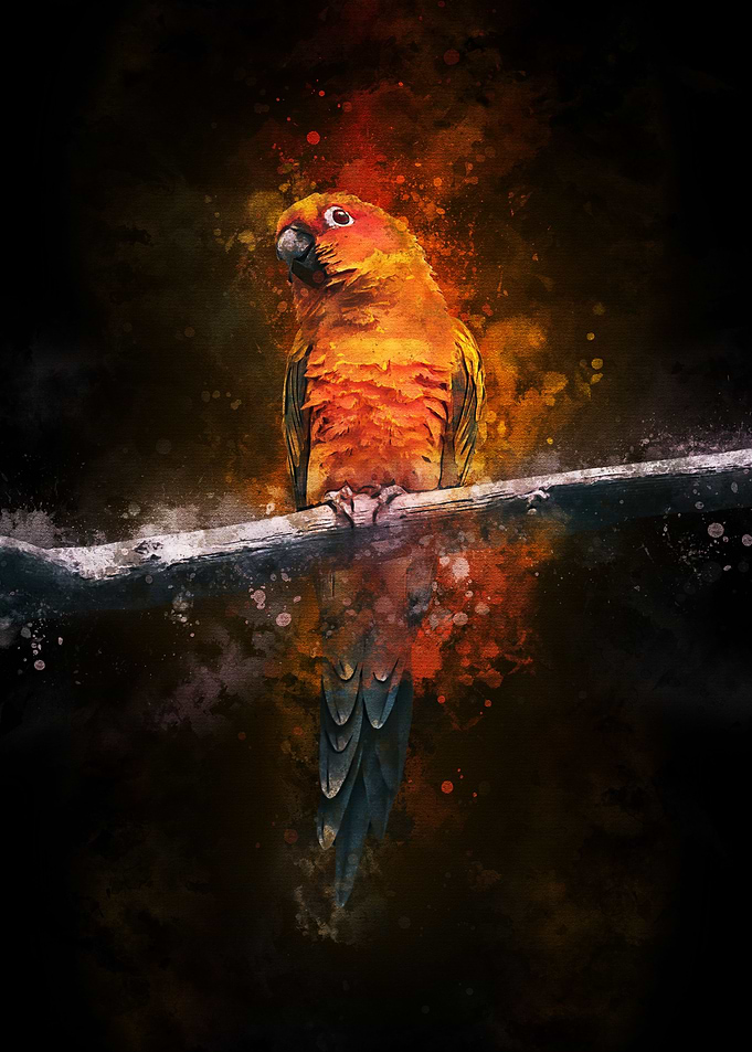 parrot animal