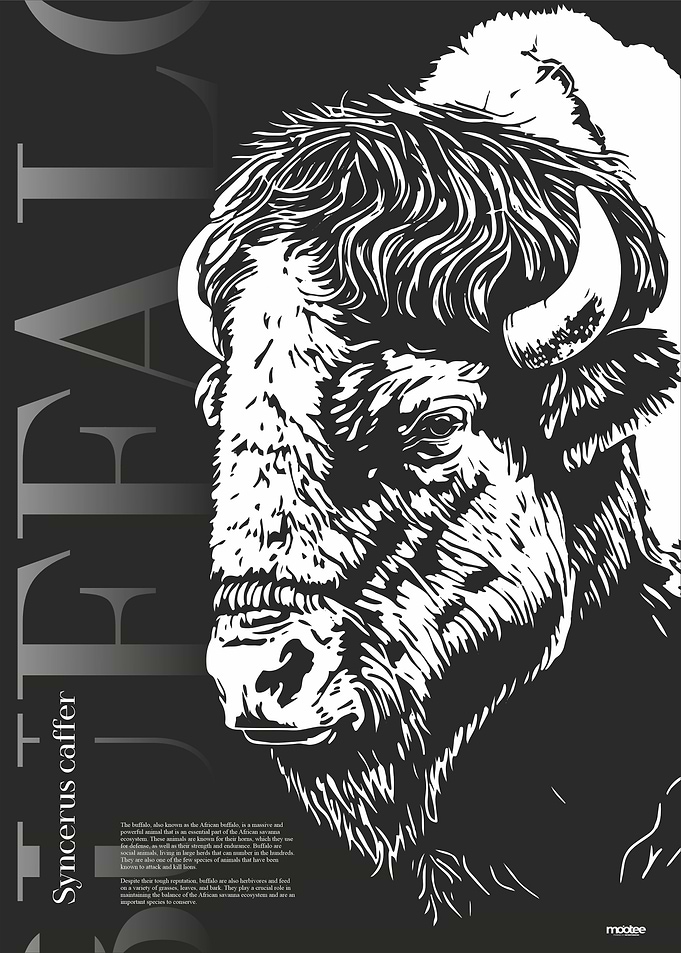 My name is Buffalo
