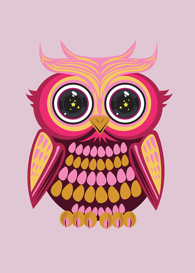 Star Eye Owl Pink Orange