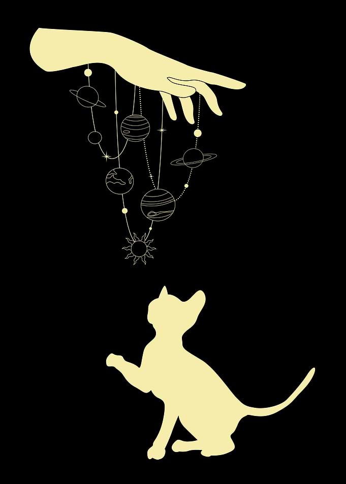 Cat playing with planets
