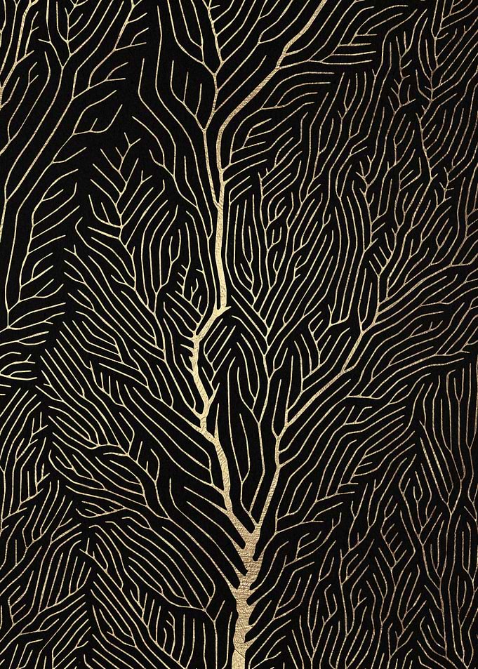 Golden lines 01