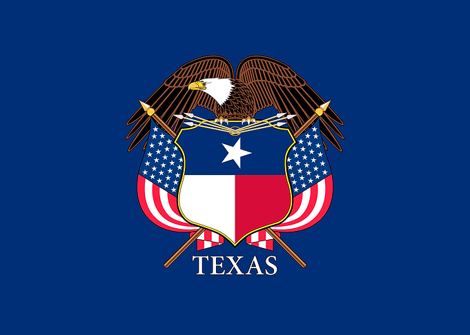 Texas Flag and Eagle