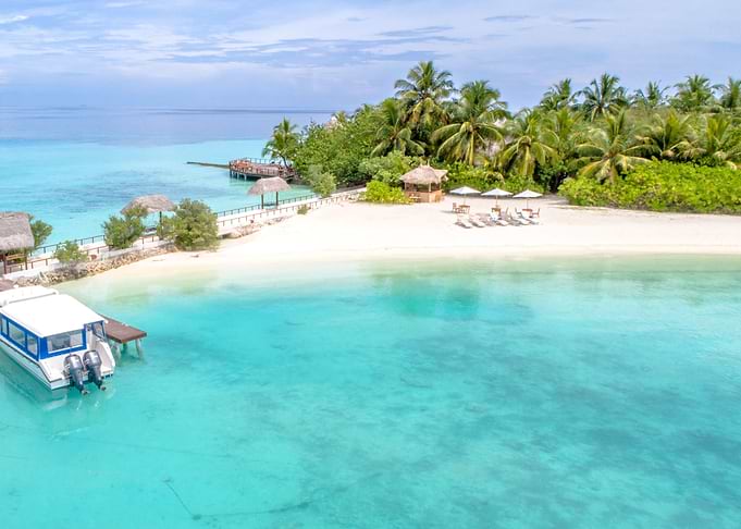 Tropical Beach