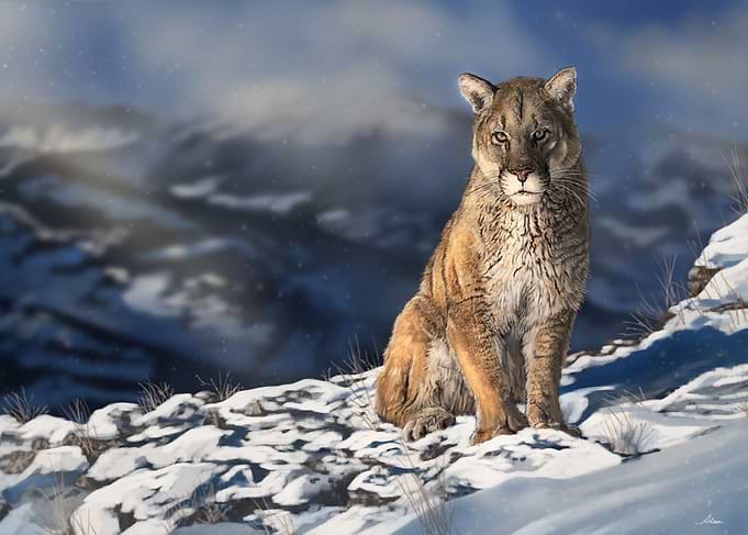 Panther