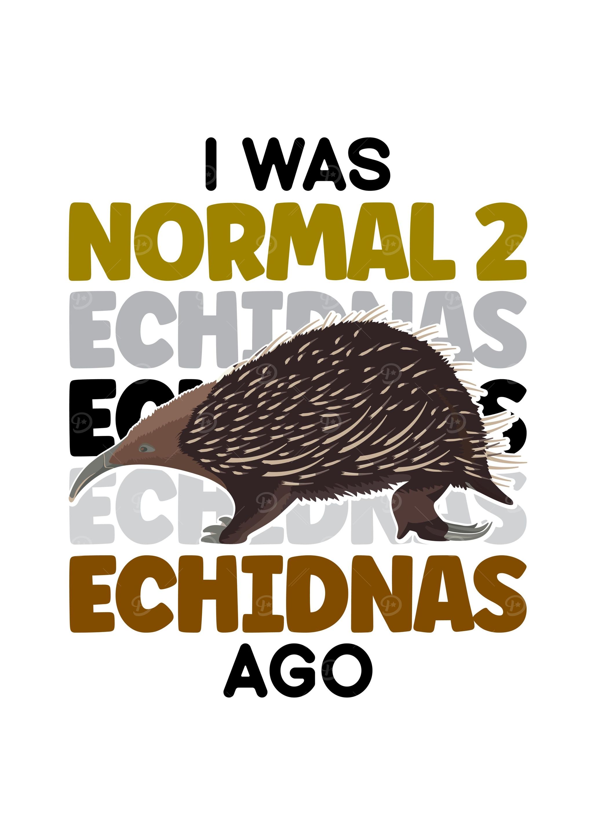 Echidna