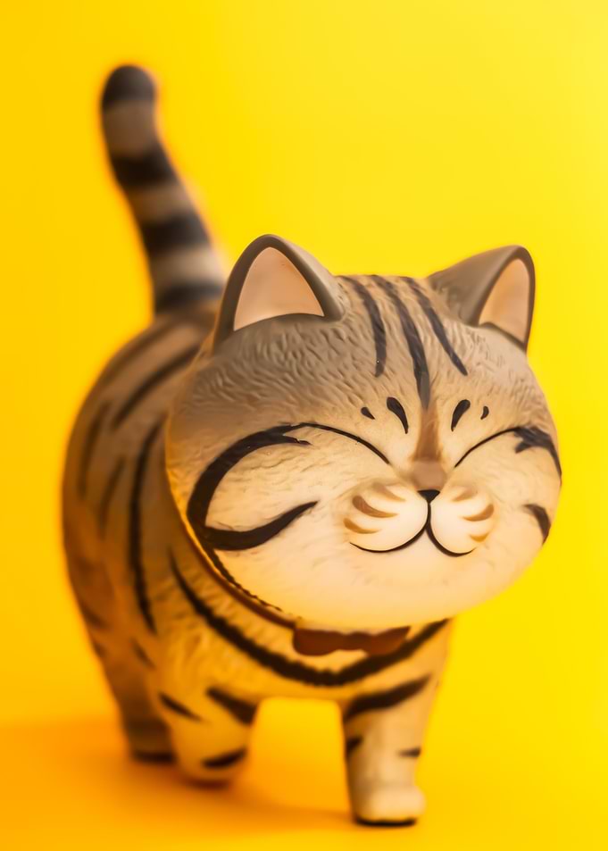 Tiger animal