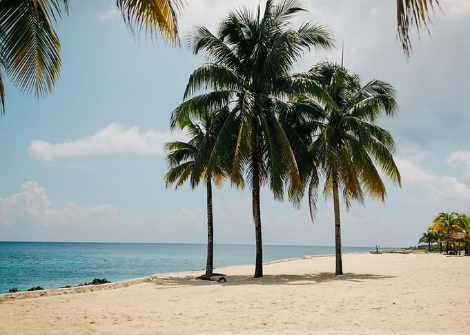 Palm View Beach