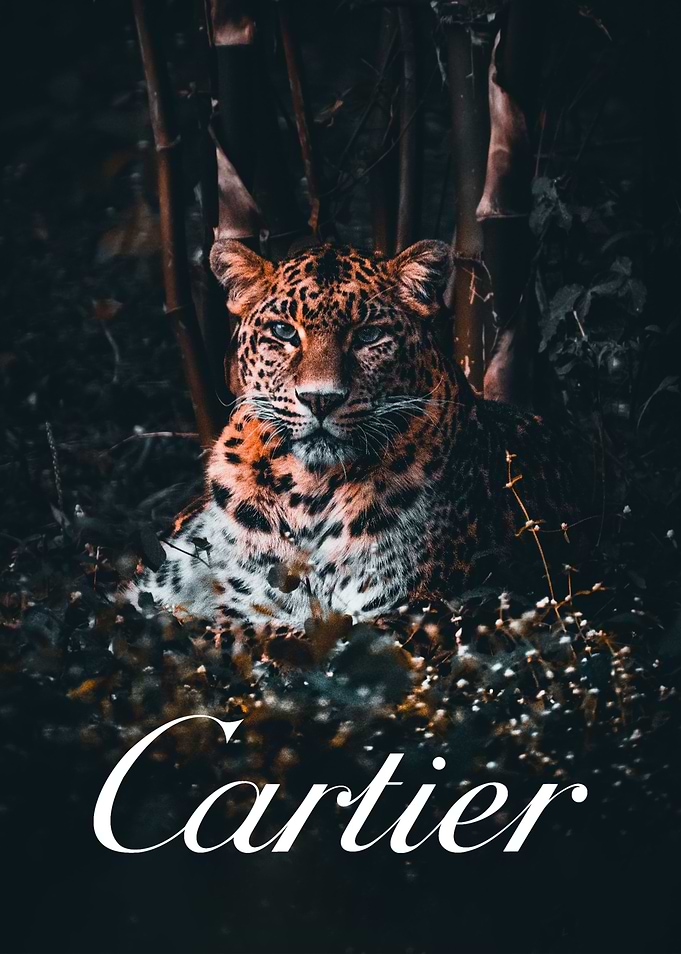 fashion poster