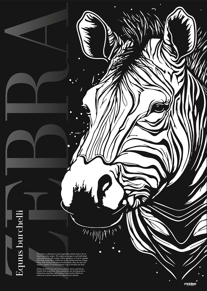 My name is Zebra