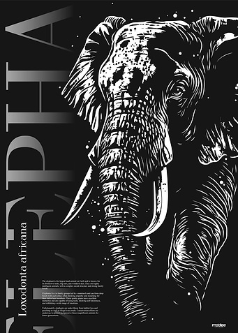 My name is Elephant