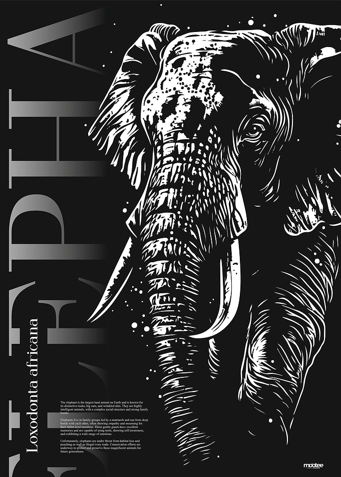 My name is Elephant