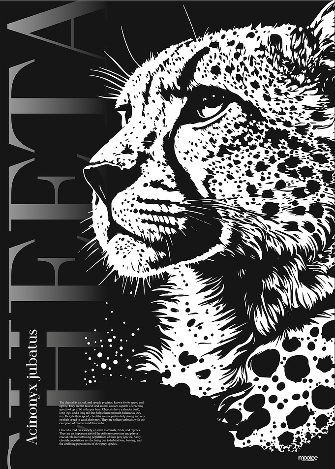 My name is Cheetah