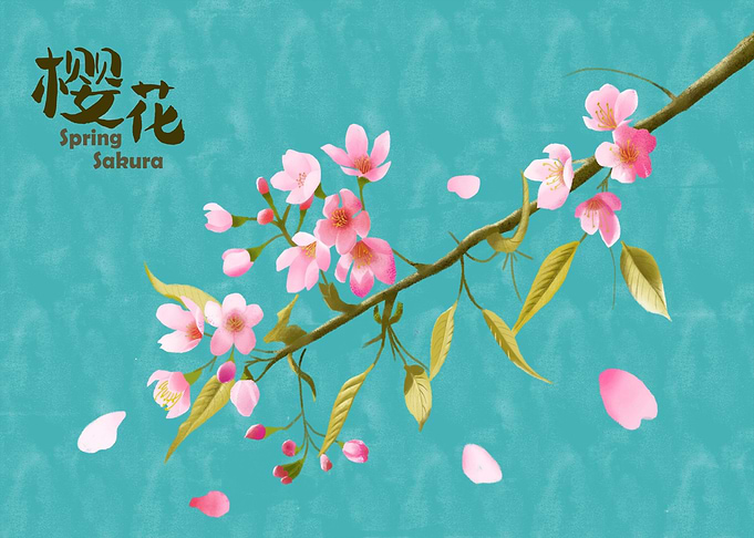 Sakura Flowers