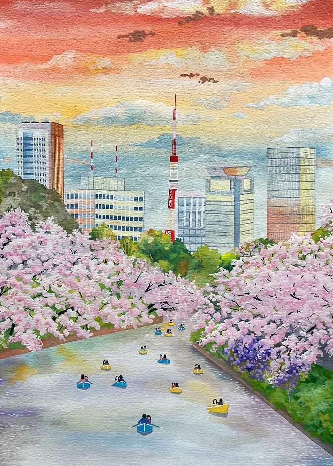 Meguro cherry blossom
