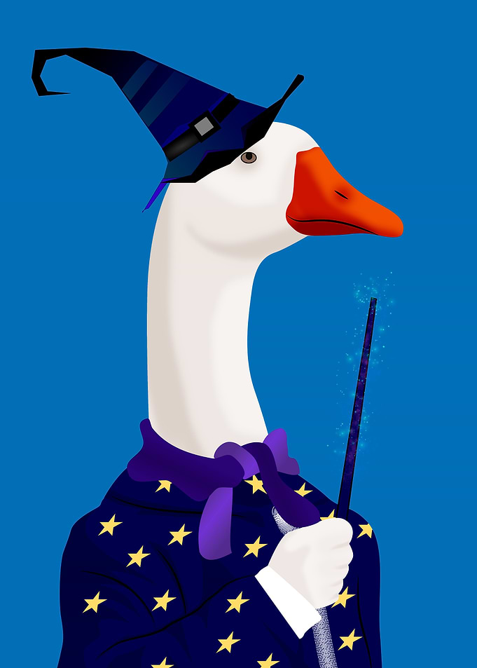 magical duck