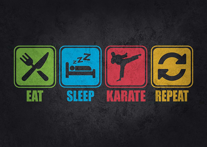 Eat Sleep Karate Repeat