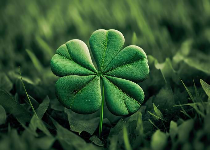 Four Leaf Clover