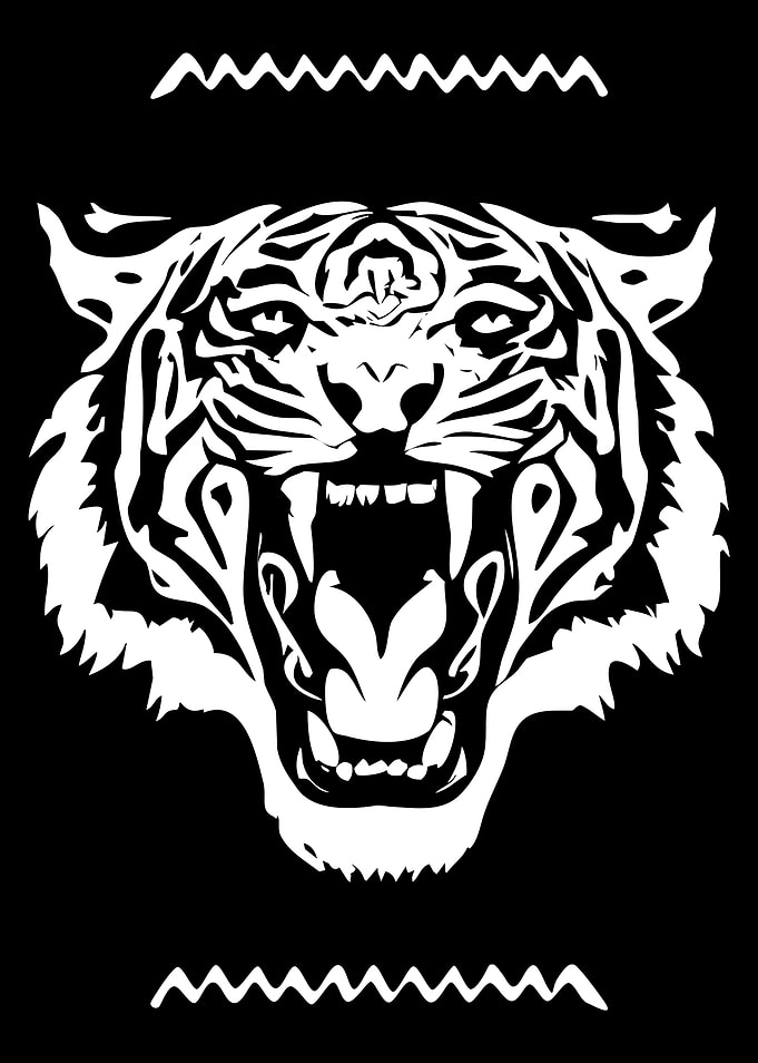 Tiger Face