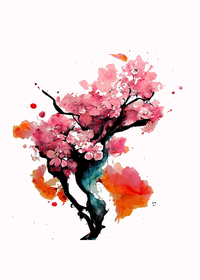 Cherry blossom sakura