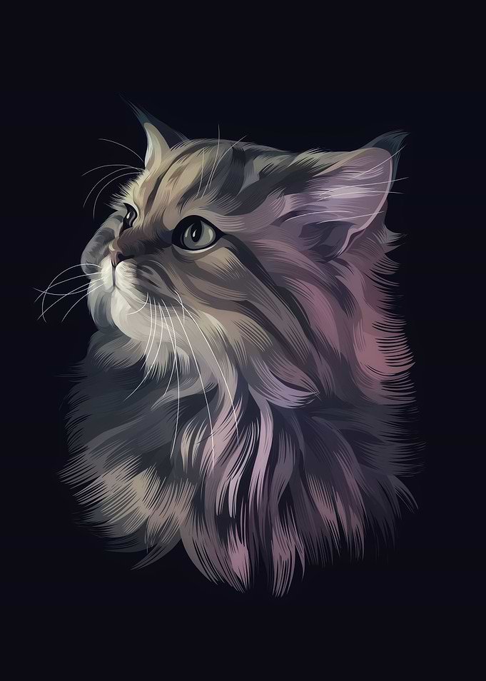 cat 2