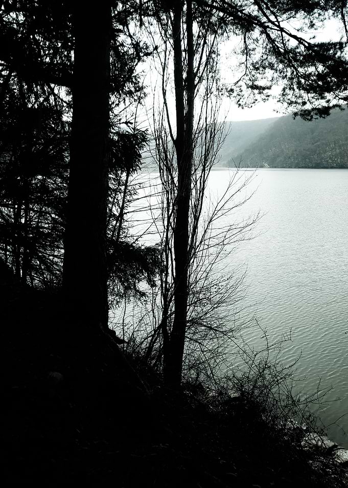 Lake shore morning