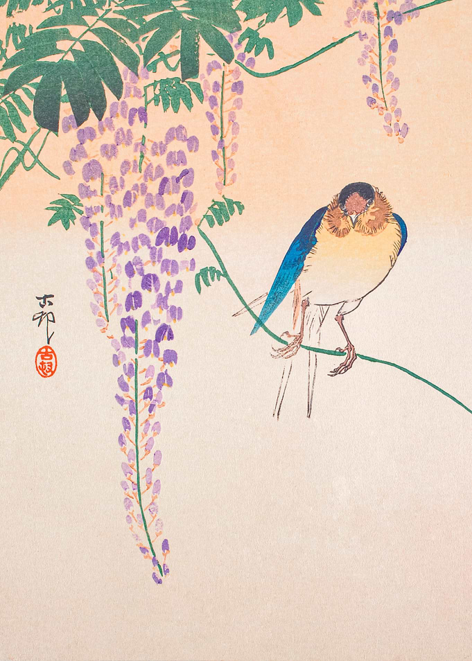 Wisteria and Swallow