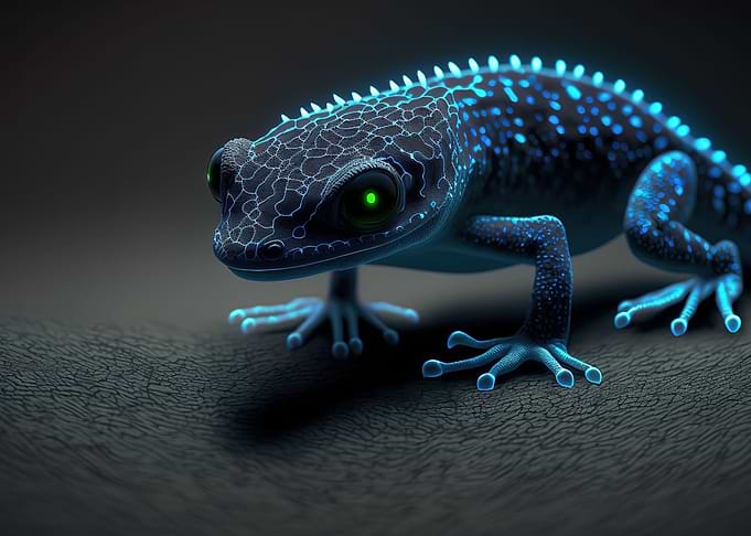 Gecko Animal