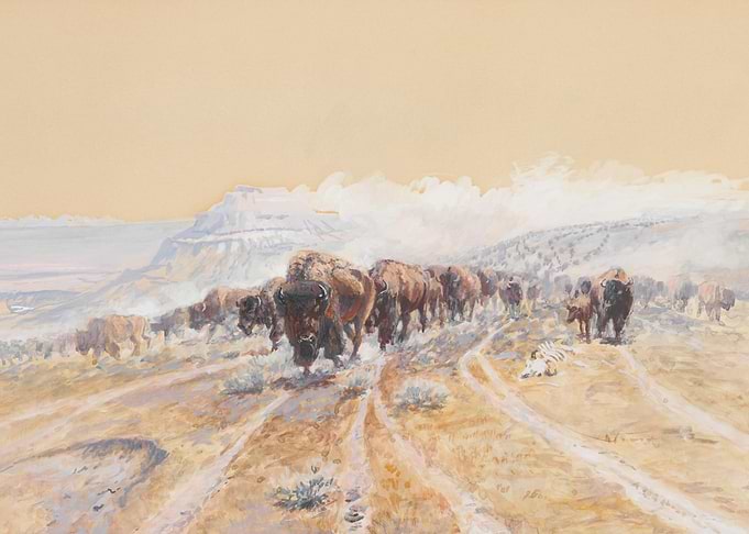 Bison Herd Migrating
