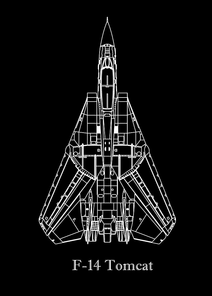 F14 Tomcat