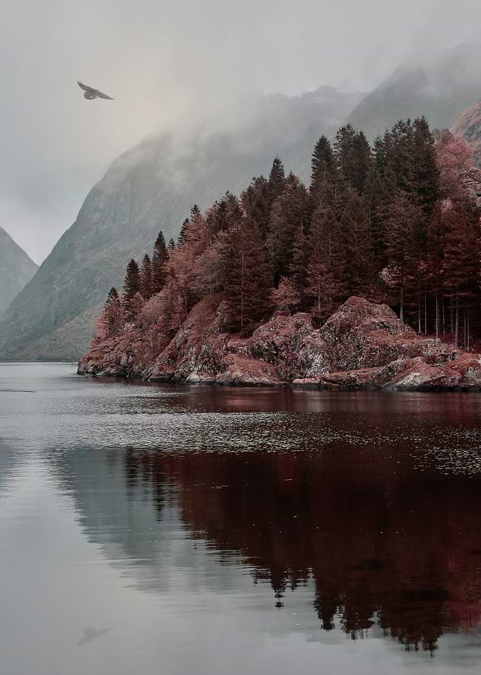 Raaf boven fjord