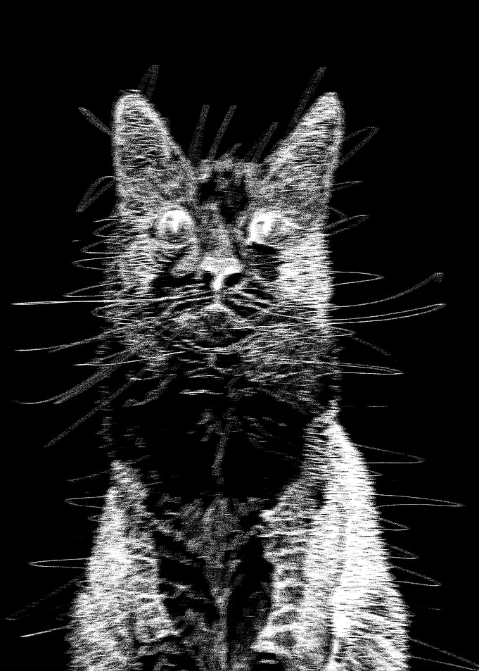 abstract cats black white