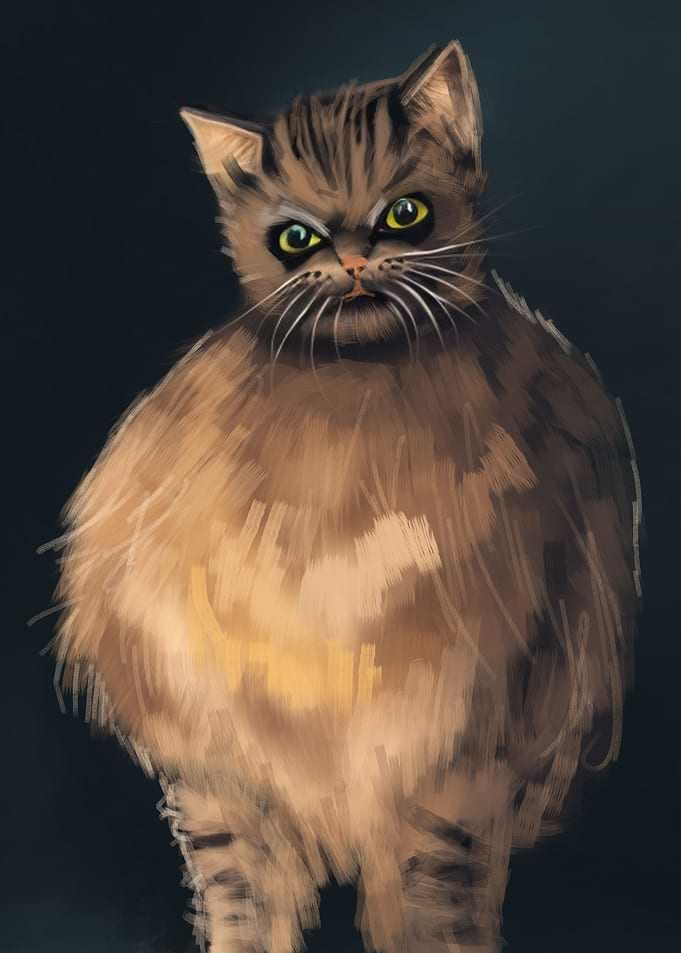 cat