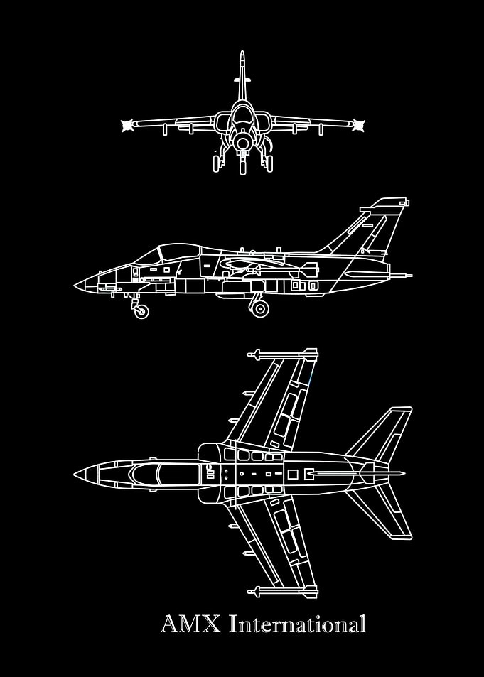 AMX International
