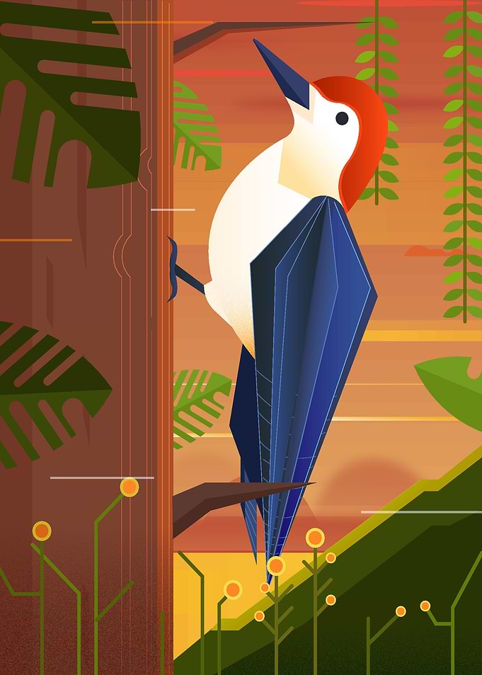 Woodpecker