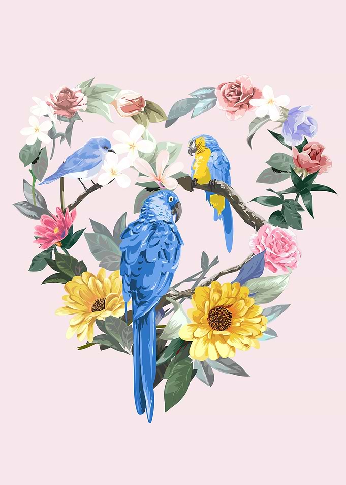 little birds in colorful