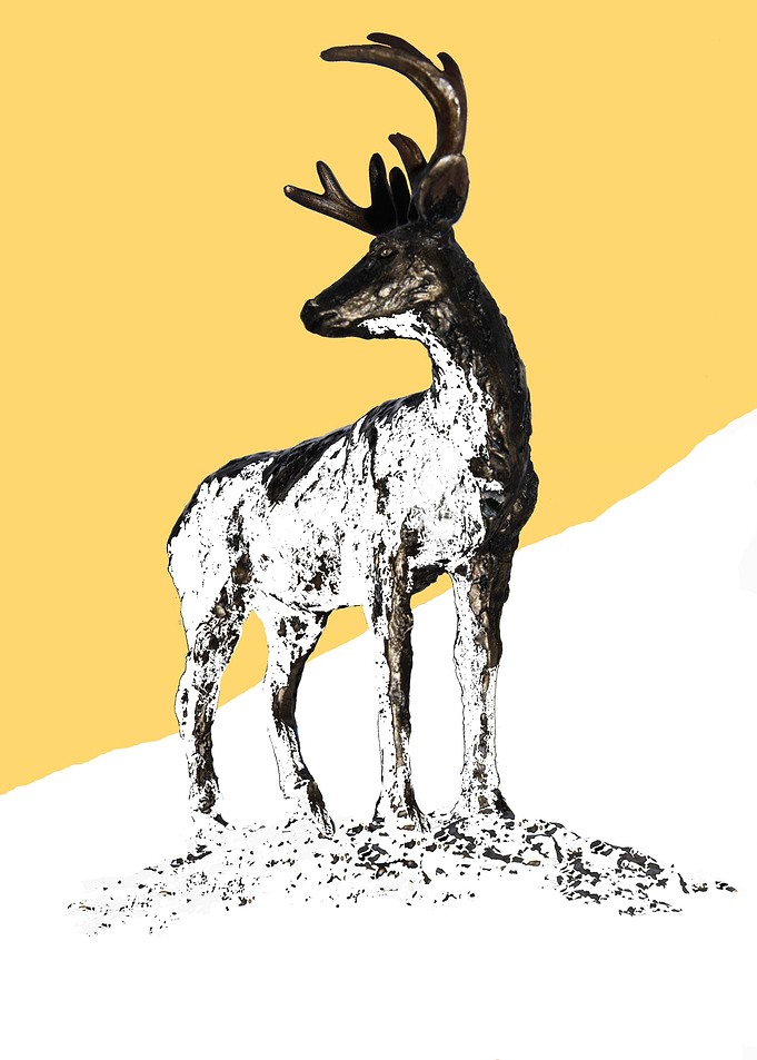 Stag in Golden Glow