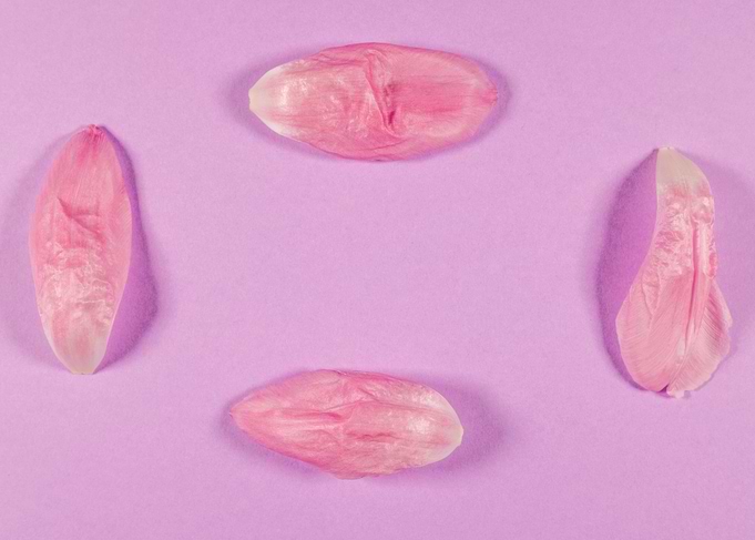 Lilac background with tuli
