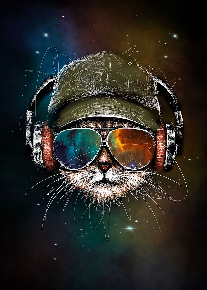 Space rapper cat